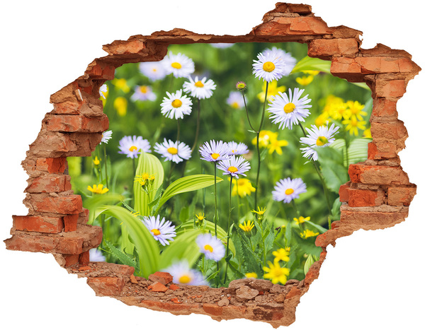 Adesivo con buco sbrecciato Un paradiso di fiori dietro il muro