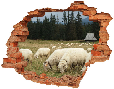 Adesivo effetto buco nel muro Pecore nel prato