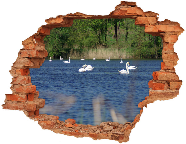 Adesivo murale buco 3D Lago con i cigni