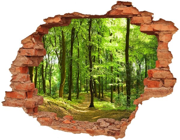 Adesivo murale buco 3D Foresta verdeggiante ai raggi del sole