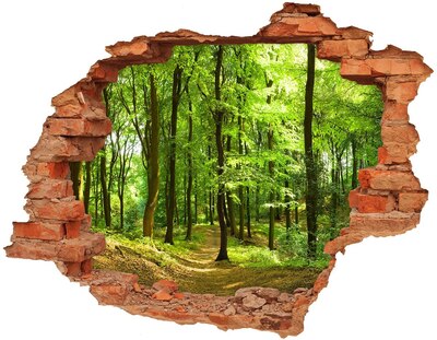 Adesivo murale buco 3D Foresta verdeggiante ai raggi del sole