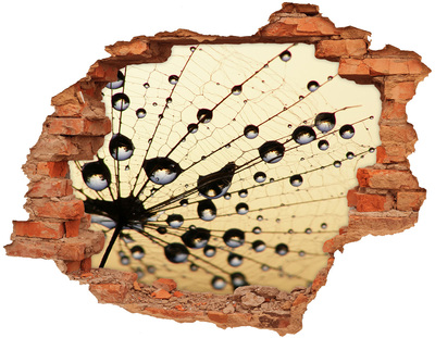 Adesivo murale buco 3D Gocce d'acqua sull'ala di una farfalla