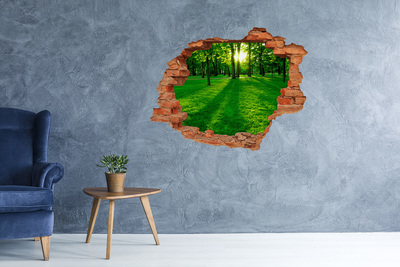 Adesivo murale buco 3D Parco verde sotto il sole