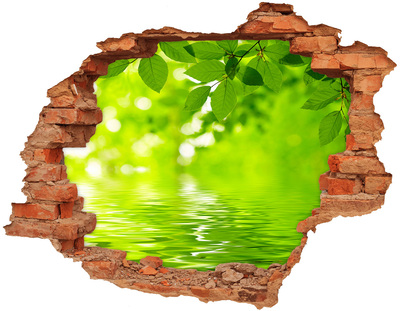 Adesivo effetto buco nel muro Oasi verde con acqua