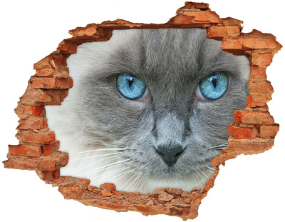 Adesivo effetto buco nel muro Gatto in un buco nel muro