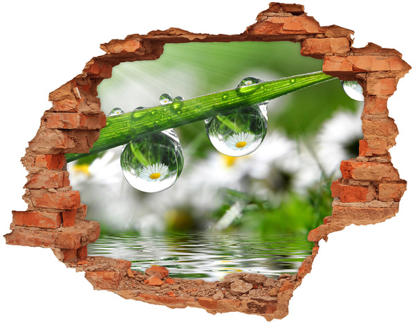 Adesivo murale buco 3D Oasi floreale con gocce d'acqua