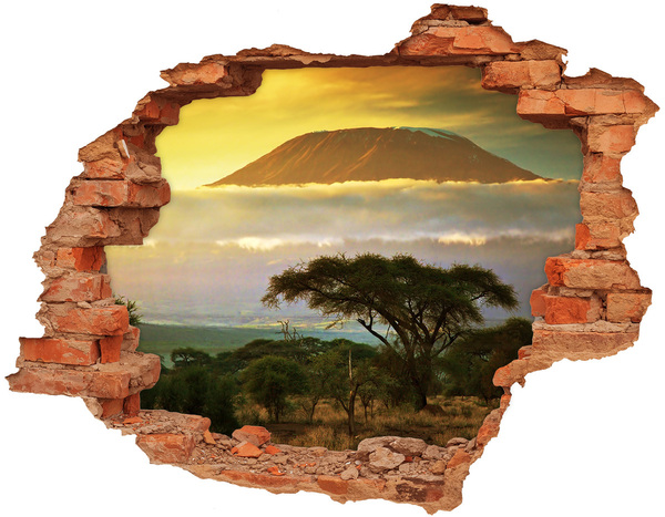 Adesivo effetto buco nel muro Paesaggio africano con alberi
