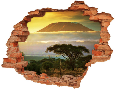 Adesivo effetto buco nel muro Paesaggio africano con alberi
