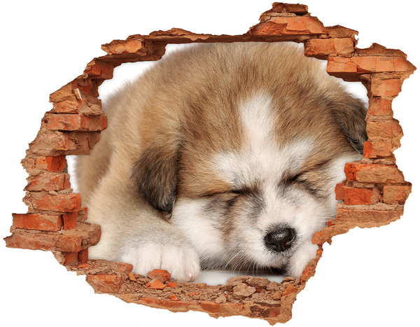 Adesivo effetto buco nel muro Cucciolo adorabile in un buco nel muro
