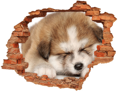 Adesivo effetto buco nel muro Cucciolo adorabile in un buco nel muro