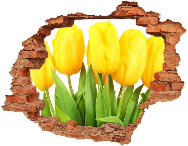 Adesivo con buco sbrecciato Fiori di tulipano in un buco nel muro