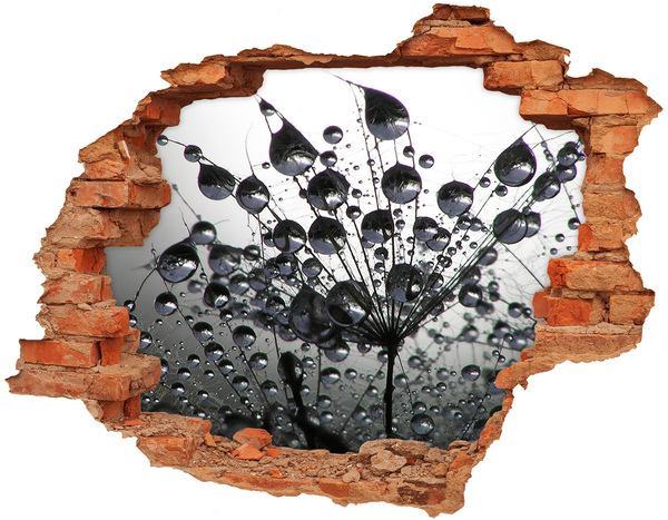 Adesivo effetto buco nel muro Gocce d'acqua su un dente di leone