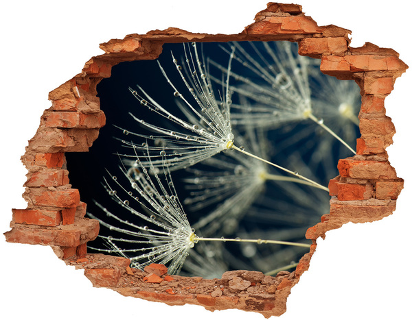 Adesivo murale buco 3D Fiori di tarassaco in acqua