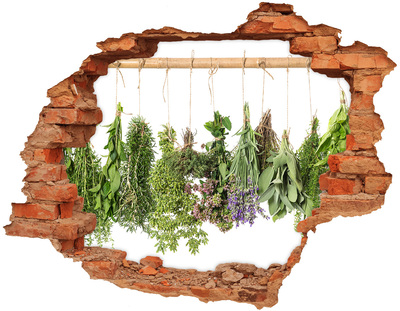 Adesivo murale buco 3D Giardino delle erbe aromatiche nel buco nel muro