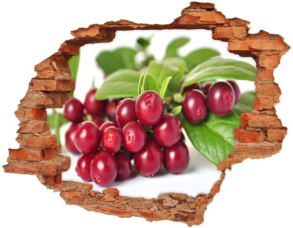 Adesivo effetto buco nel muro Fruity Hole in the Wall
