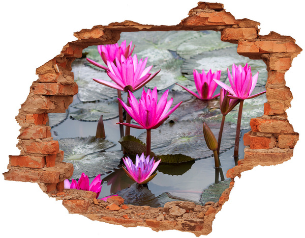 Adesivo murale buco 3D Fiori acquatici nello stagno