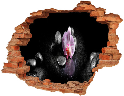 Adesivo murale buco 3D Fiore di orchidea circondato da pietre