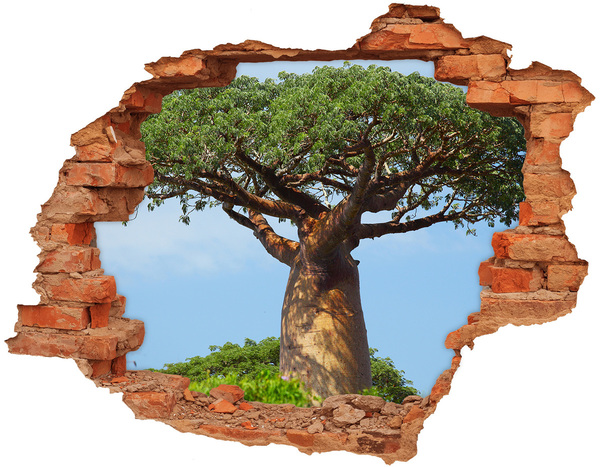 Adesivo effetto buco nel muro Baobab in un buco nel muro