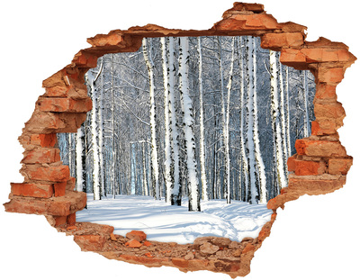 Adesivo murale buco 3D Foresta invernale in bianco