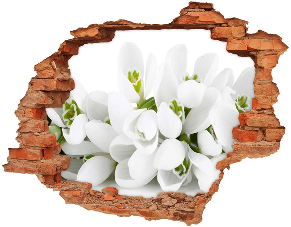 Adesivo effetto buco nel muro Fiori in cemento