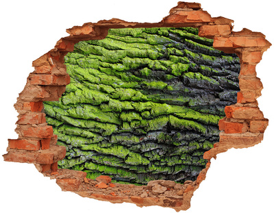 Adesivo murale buco 3D Roccia verde nella buca