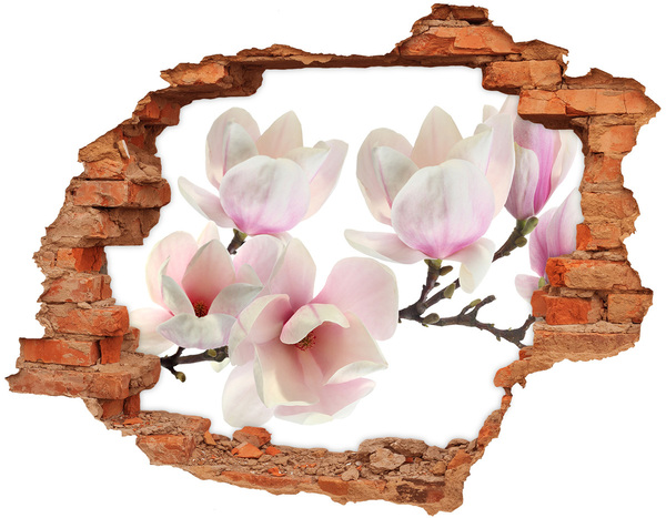 Adesivo con buco sbrecciato Fiori di magnolia sbocciano attraverso un buco nel muro