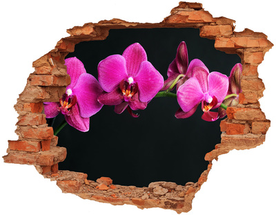 Adesivo con buco sbrecciato Orchidea attraverso il muro
