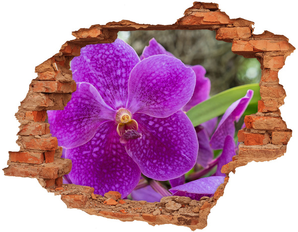 Adesivo effetto buco nel muro Fiore d'orchidea in un buco nel muro