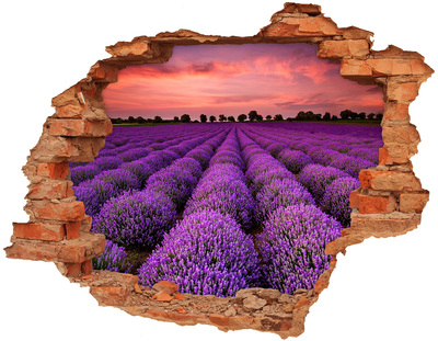 Adesivo murale buco 3D Campi di lavanda al tramonto
