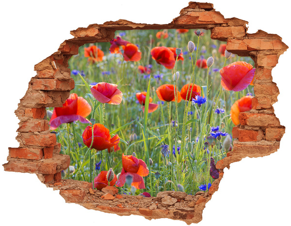 Adesivo murale buco 3D Un paradiso di fiori dietro il muro