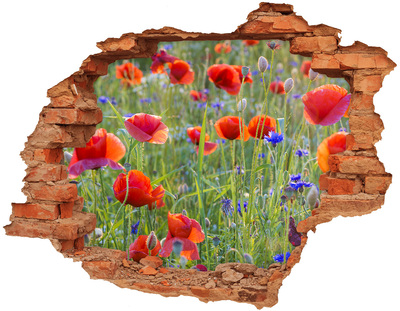 Adesivo murale buco 3D Un paradiso di fiori dietro il muro