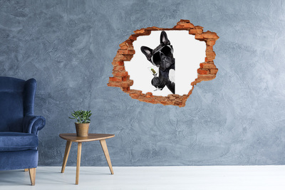 Adesivo effetto buco nel muro Cane elegante con una bevanda