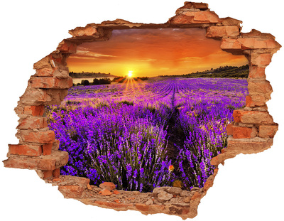 Adesivo murale buco 3D Campo di lavanda al tramonto