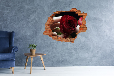 Adesivo murale buco 3D Una rosa in un muro in rovina