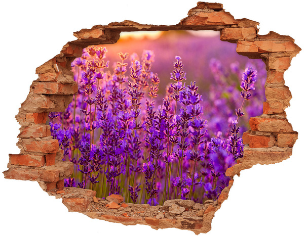 Adesivo effetto buco nel muro Prato fiorito di lavanda