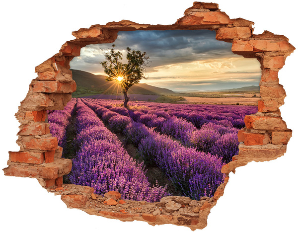 Adesivo con buco sbrecciato Campi di lavanda al tramonto
