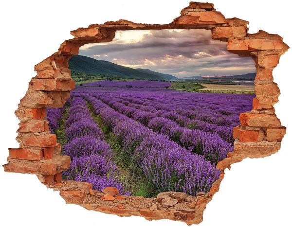 Adesivo effetto buco nel muro Campi di lavanda ai raggi del sole al tramonto