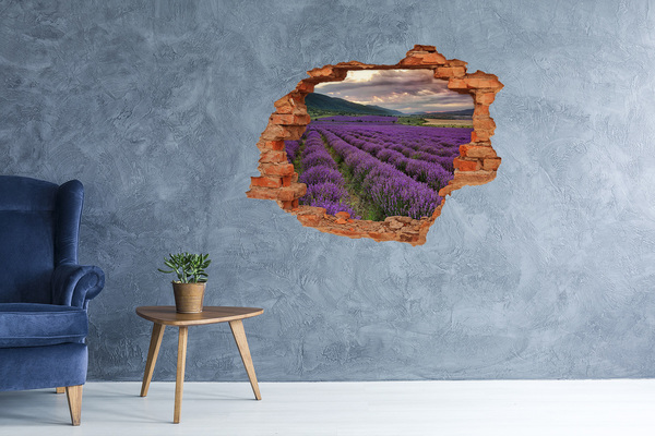 Adesivo effetto buco nel muro Campi di lavanda ai raggi del sole al tramonto
