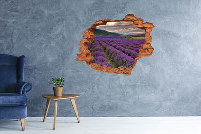 Adesivo effetto buco nel muro Campi di lavanda ai raggi del sole al tramonto