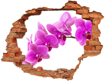 Adesivo con buco sbrecciato Orchidee che spuntano da un buco nel muro