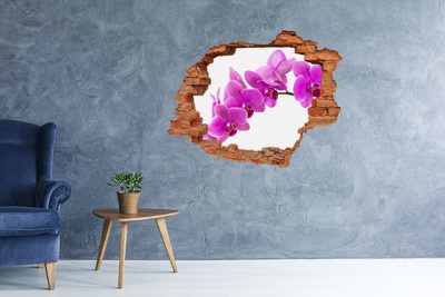 Adesivo con buco sbrecciato Orchidee che spuntano da un buco nel muro