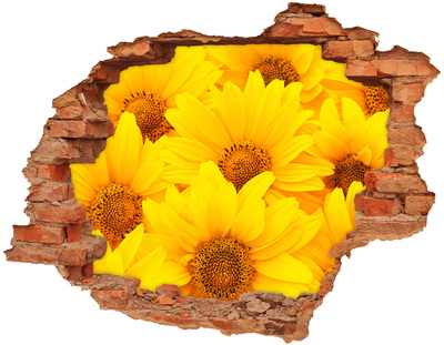 Adesivo con buco sbrecciato Girasoli in un buco nel muro