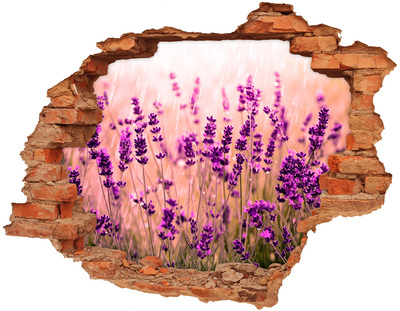 Adesivo murale buco 3D Prato fiorito di lavanda