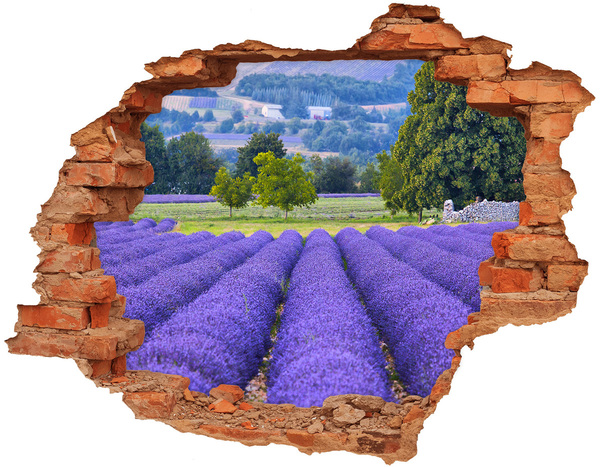 Adesivo effetto buco nel muro Campi di lavanda in Provenza