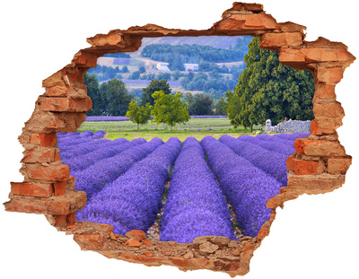Adesivo effetto buco nel muro Campi di lavanda in Provenza