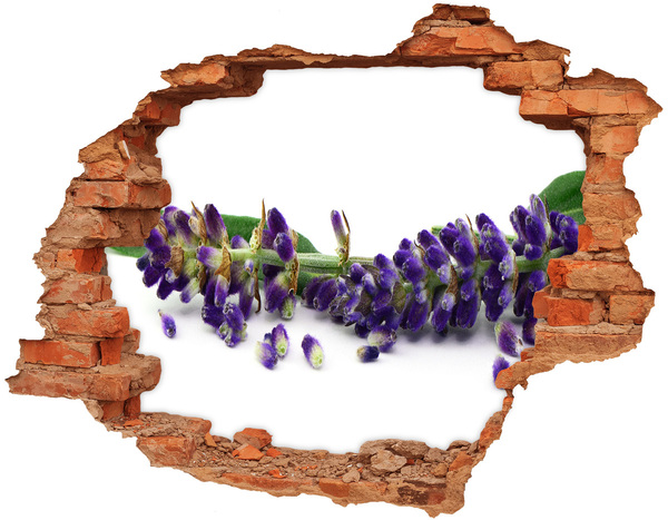 Adesivo murale buco 3D Un fiore di lavanda spunta dal buco nel muro