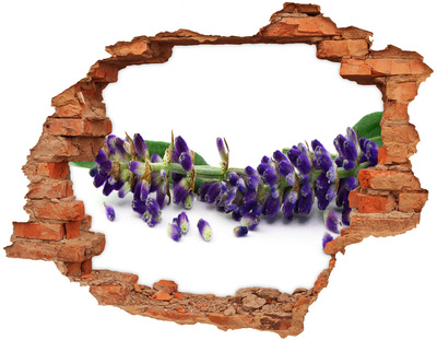Adesivo murale buco 3D Un fiore di lavanda spunta dal buco nel muro