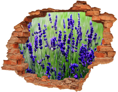 Adesivo effetto buco nel muro Prato fiorito di lavanda