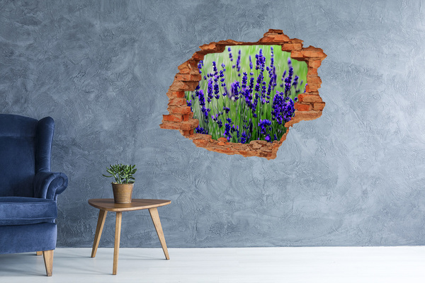 Adesivo effetto buco nel muro Prato fiorito di lavanda
