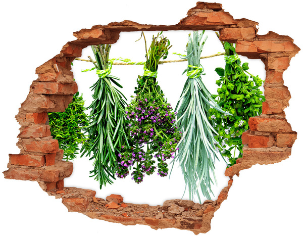 Adesivo con buco sbrecciato Giardino delle erbe aromatiche nel buco nel muro